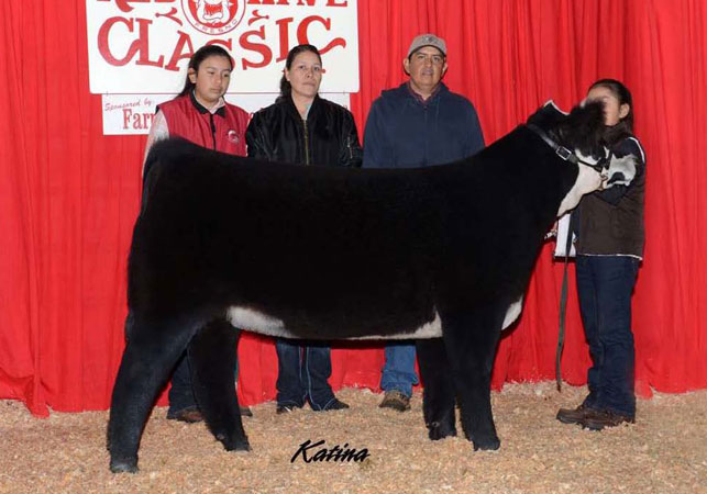 12-res-commercial-heifer-red-wave-classic