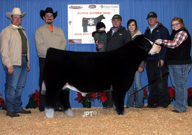 13-Grand-Champion-Steer-Ring-A,-3rd-Overall-Ring-B---Oklahoma-State-AGR-Winter-Bonanza---Blair-Family