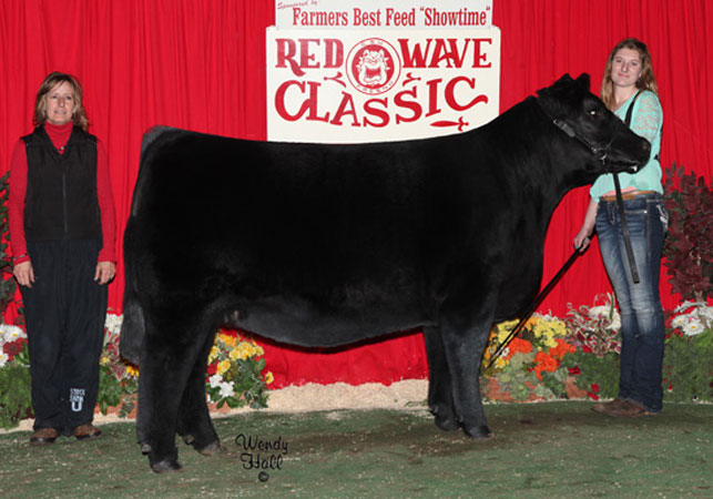 14-Champion-Maine-Anjou-Femal-Red-Wave-Classic-Sierra-Winter-Classic-Both-Rings-Reserve-Champion-Maine-Anjou-Female-MJC-Cattle-Classic-Brossard-Family