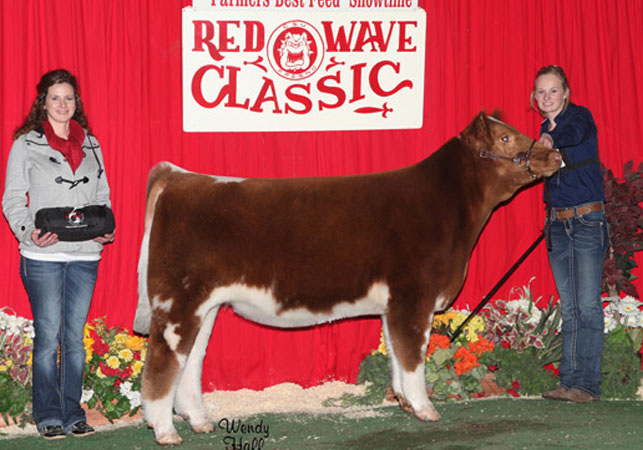 14-Reserve-Champion-Chi-Female-Red-Wave-Classic-Ashbrook-Family