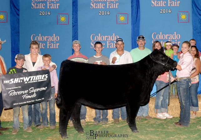 14-Reserve-Grand-Champion-Breeding-Heifer-Colorado-State-Fair-DePorter-Family